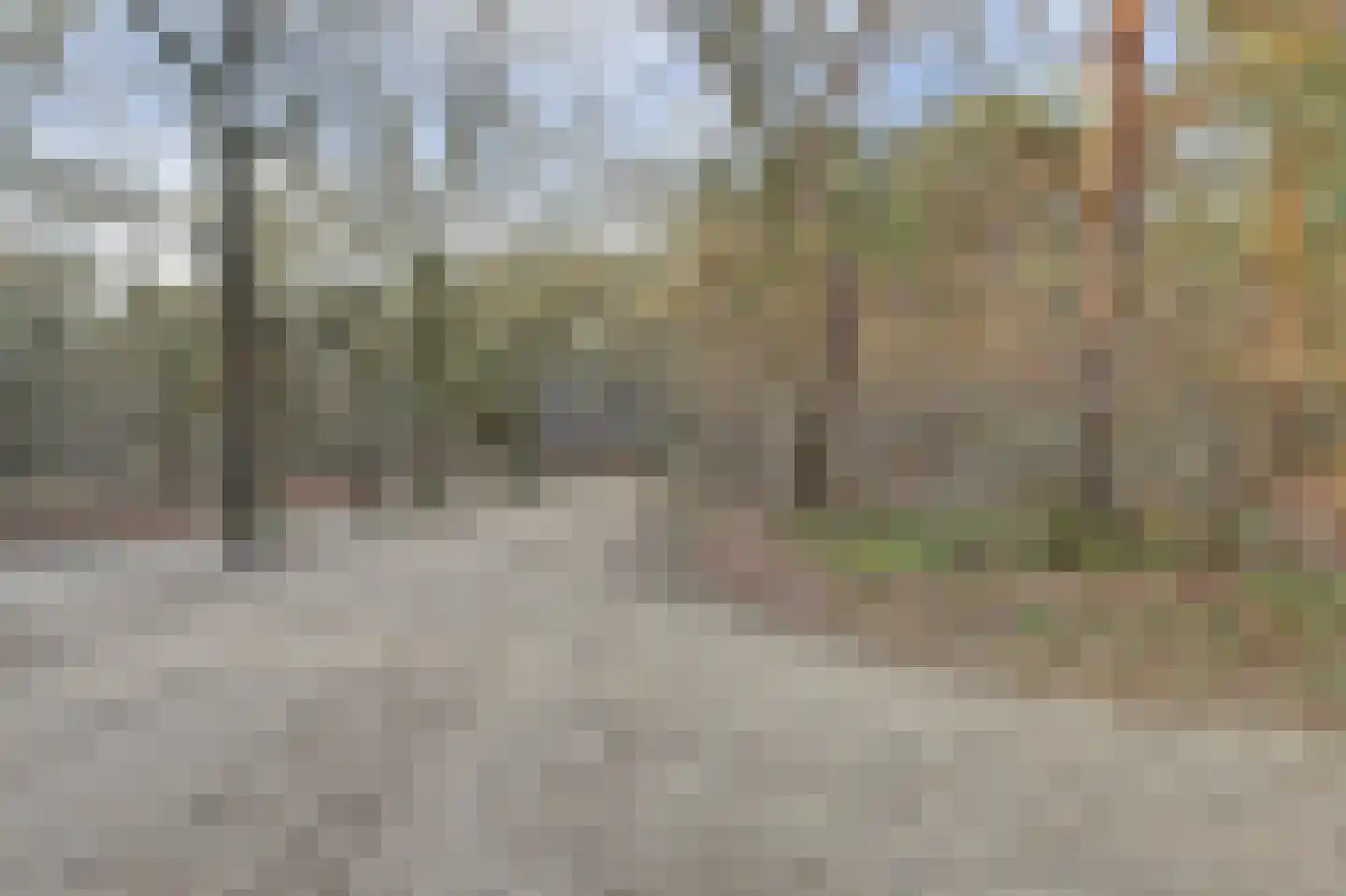Citroenvlinderhof 20 Oosterhout thumbnail 46