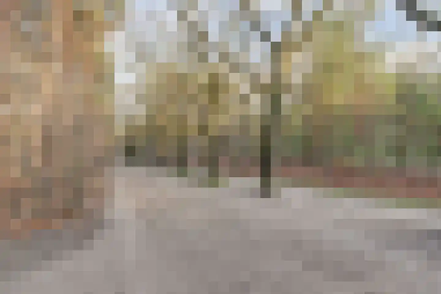 Citroenvlinderhof 20 Oosterhout thumbnail 47