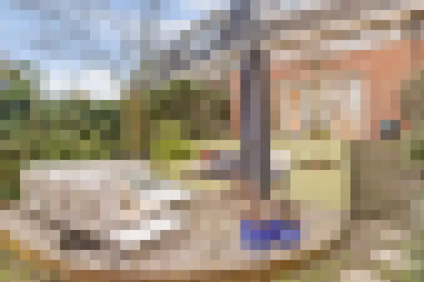Citroenvlinderhof 20 Oosterhout thumbnail 5