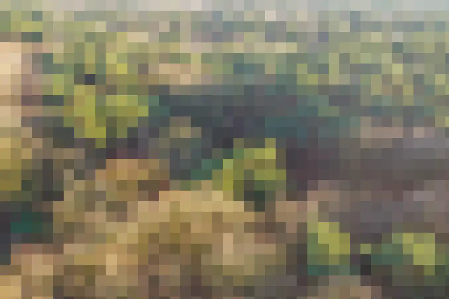 Citroenvlinderhof 20 Oosterhout thumbnail 51