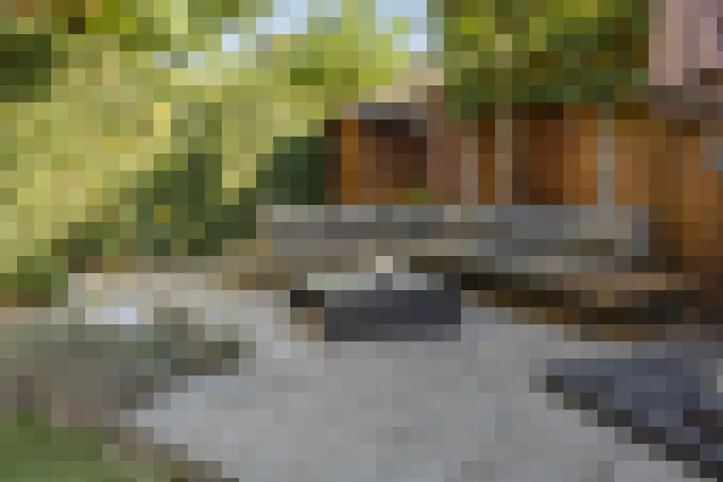 Citroenvlinderhof 23 Oosterhout thumbnail 41