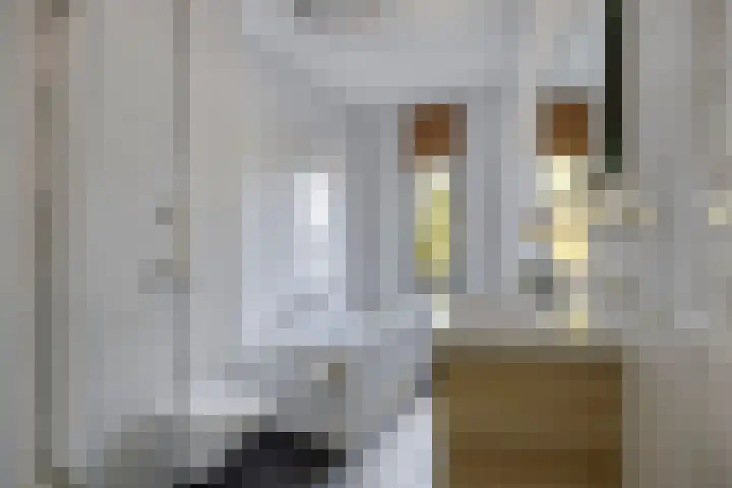 Citroenvlinderhof 29 Oosterhout thumbnail 20