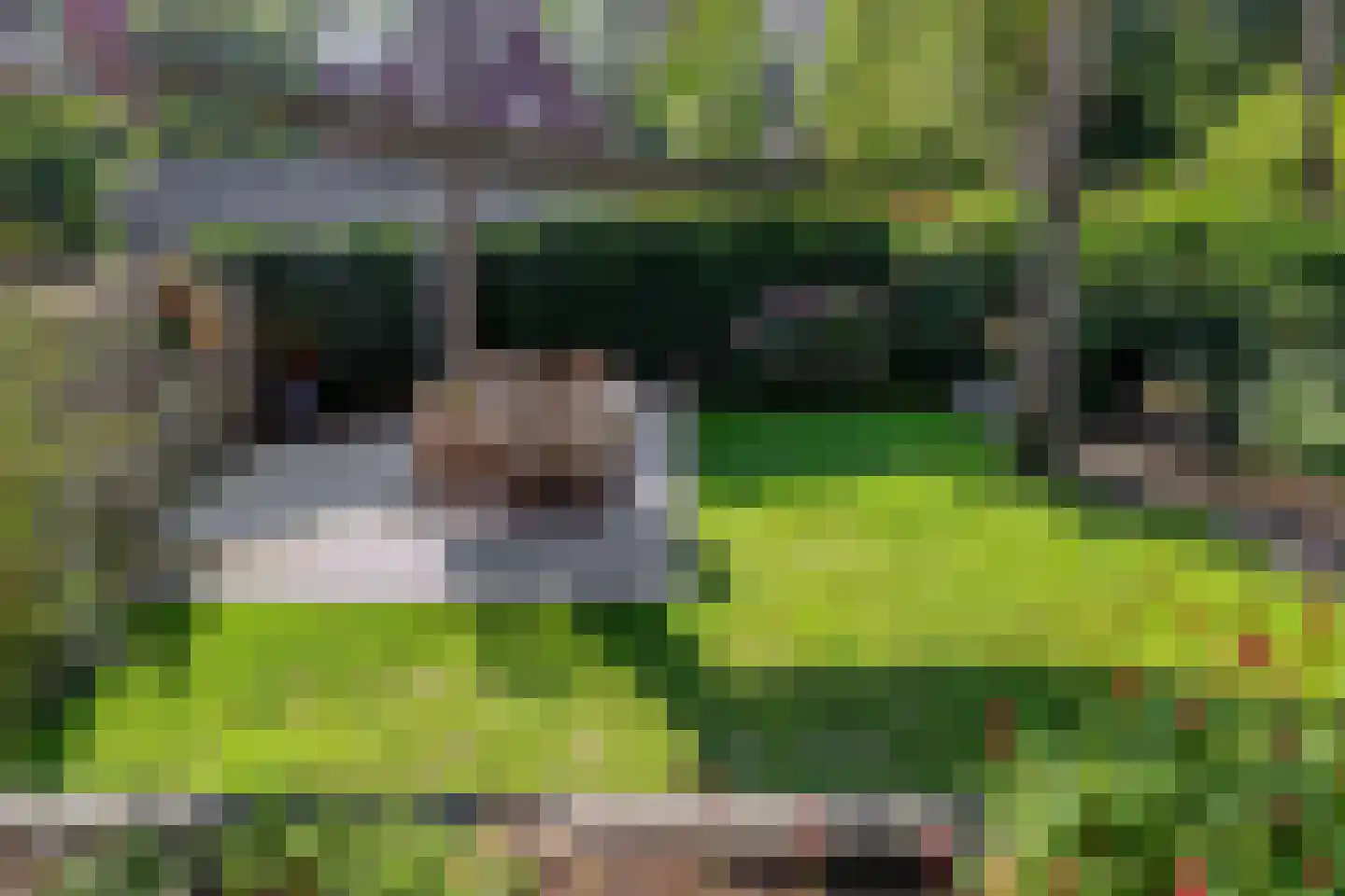 Citroenvlinderhof 29 Oosterhout thumbnail 29
