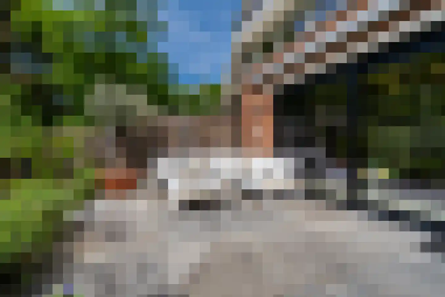 Citroenvlinderhof 36 Oosterhout thumbnail 39
