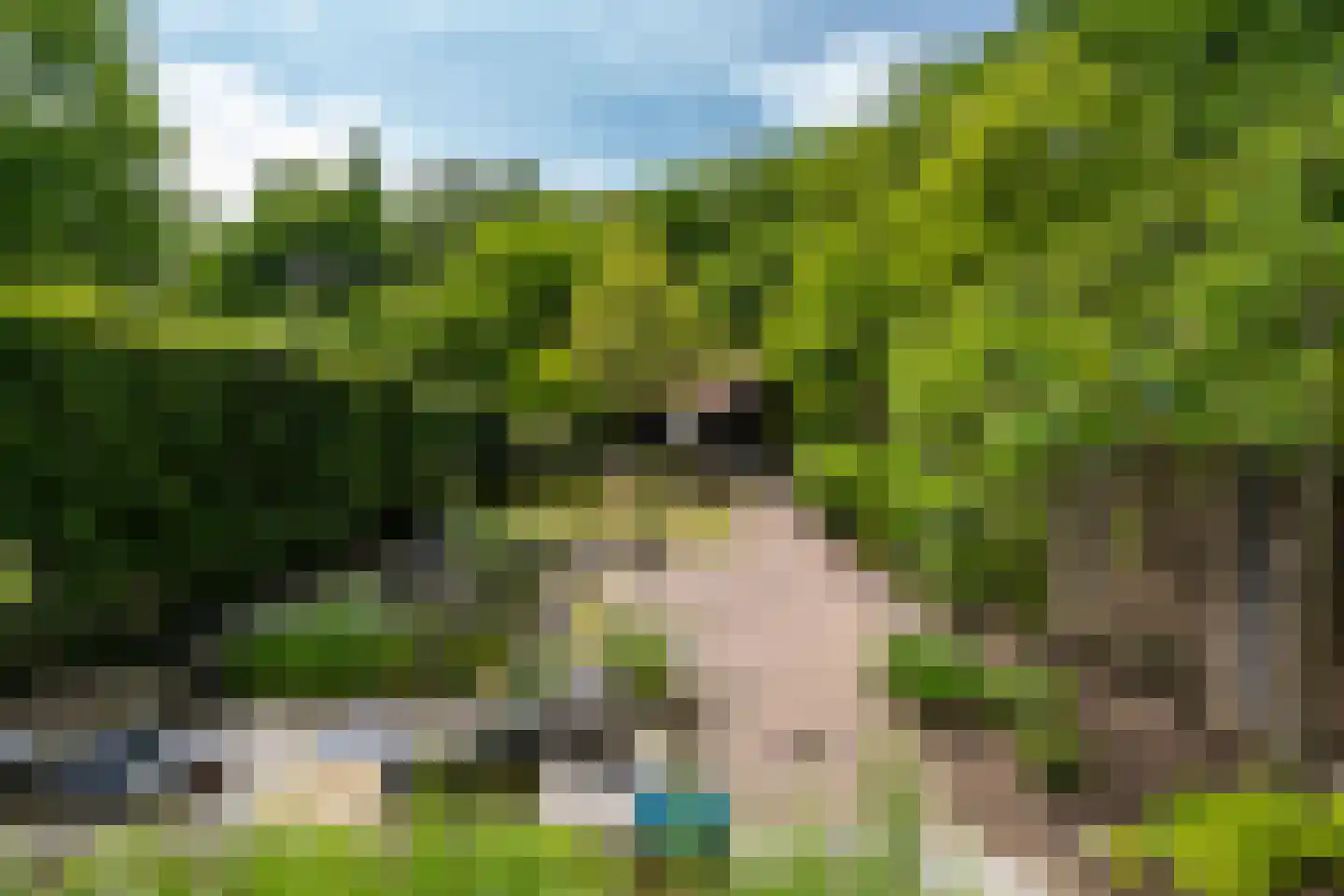 Citroenvlinderhof 36 Oosterhout thumbnail 40