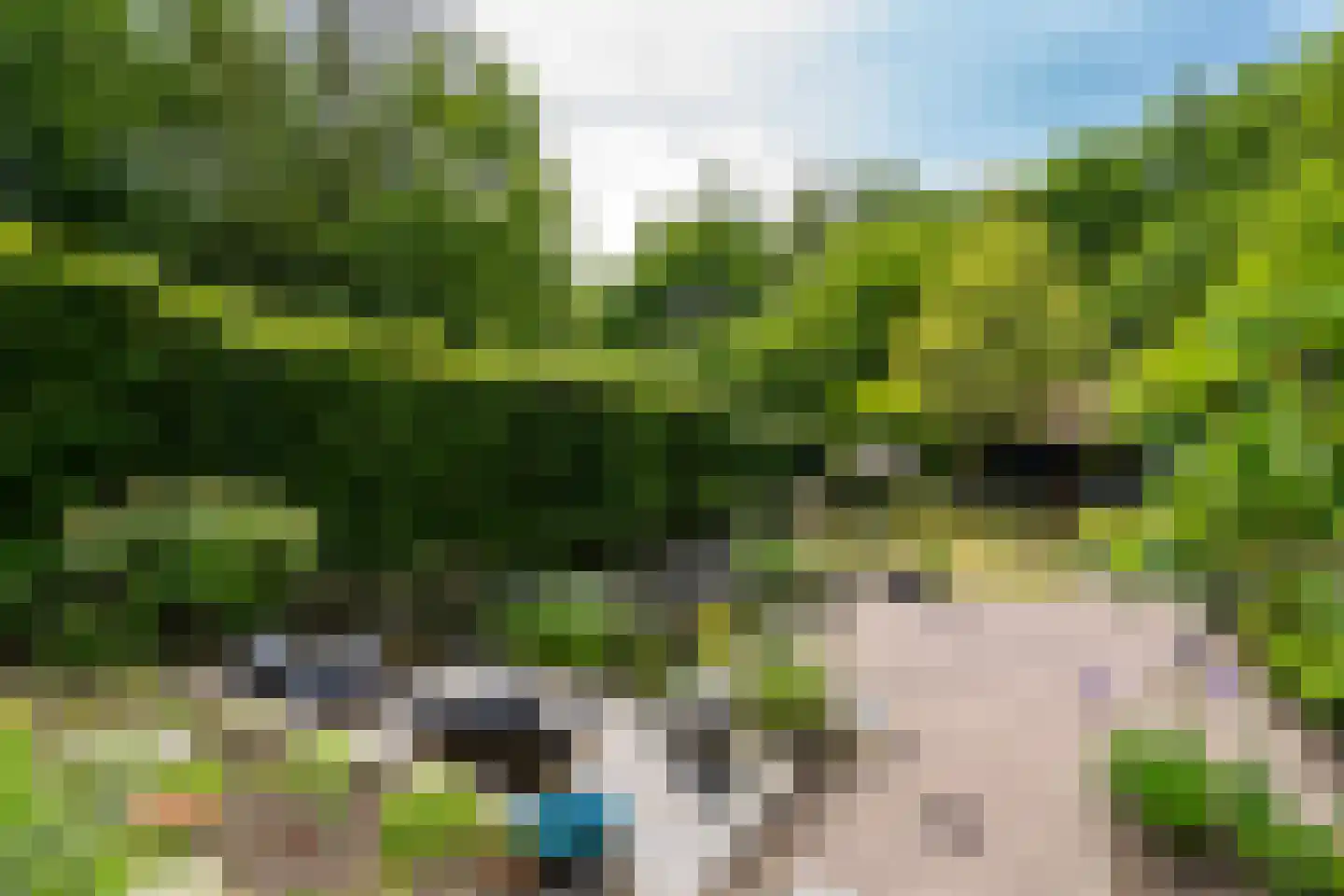 Citroenvlinderhof 36 Oosterhout thumbnail 41