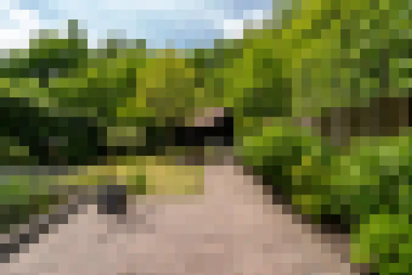 Citroenvlinderhof 36 Oosterhout thumbnail 42
