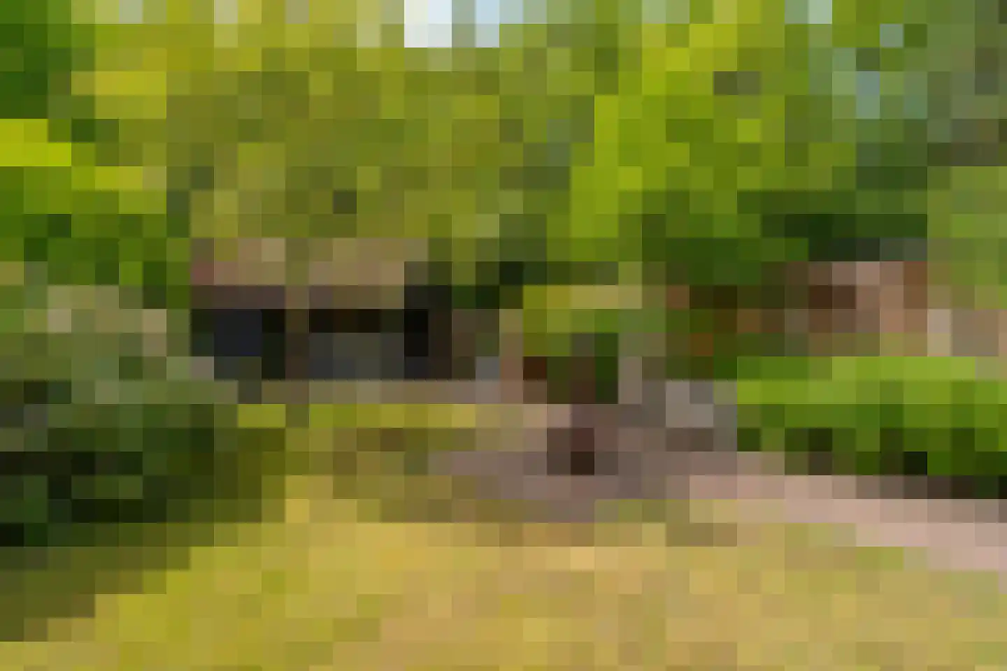 Citroenvlinderhof 36 Oosterhout thumbnail 45