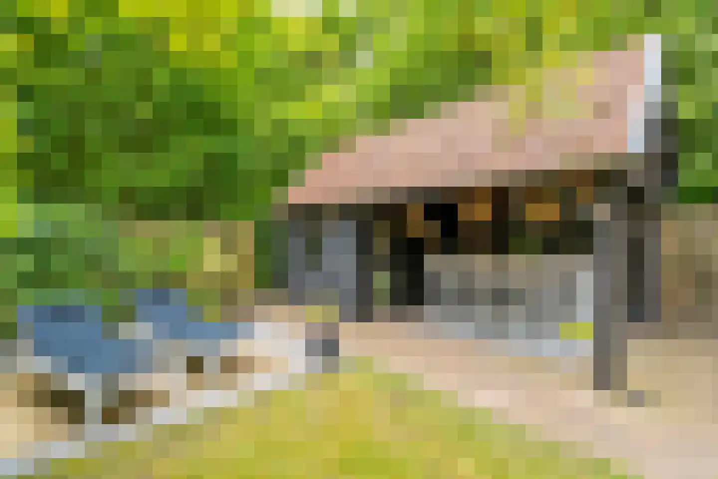 Citroenvlinderhof 36 Oosterhout thumbnail 46