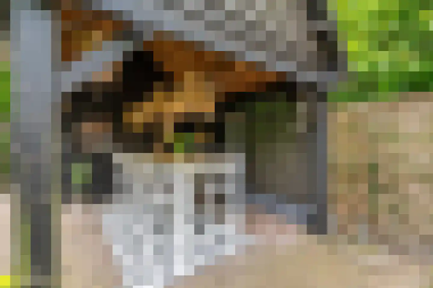 Citroenvlinderhof 36 Oosterhout thumbnail 47
