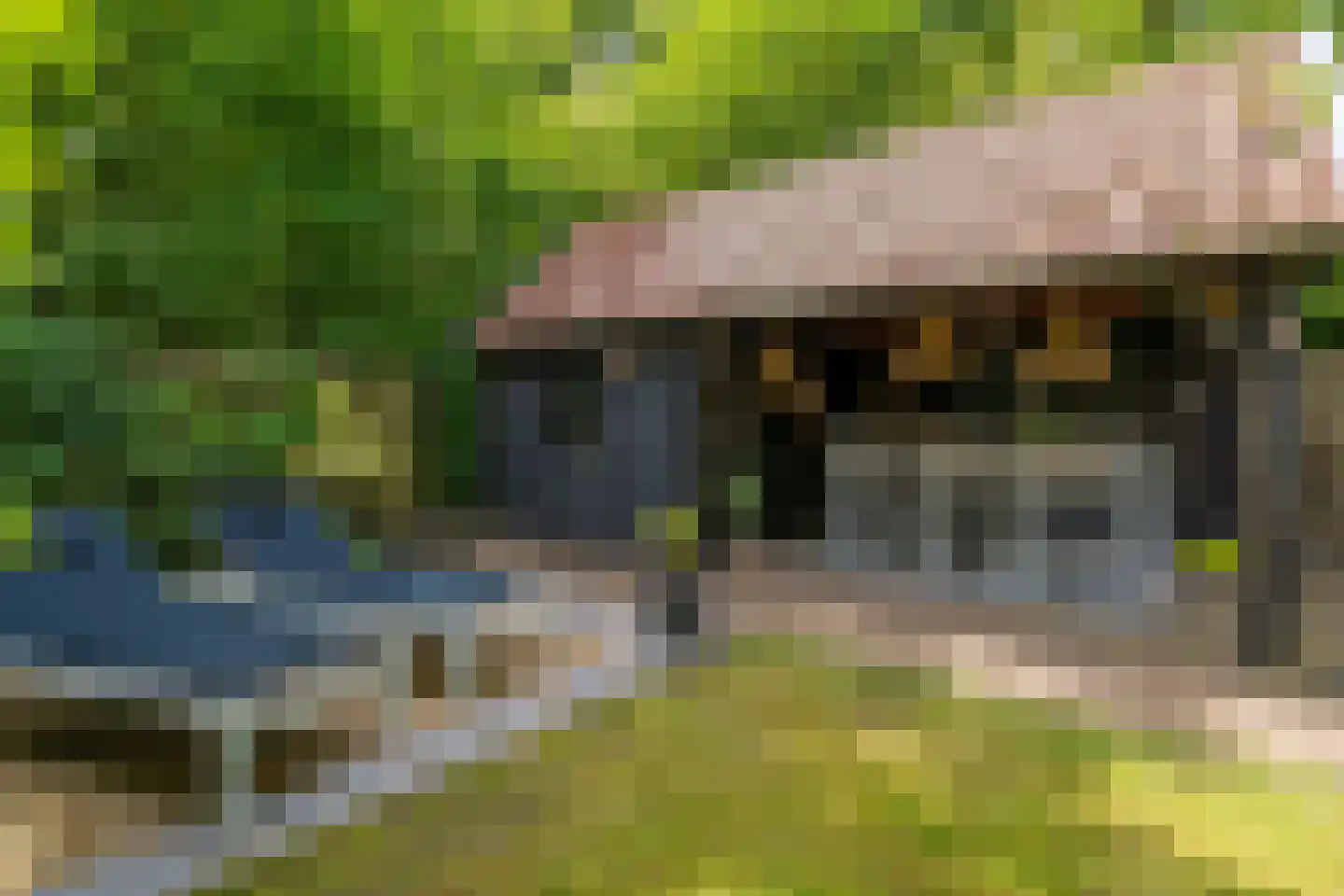 Citroenvlinderhof 36 Oosterhout thumbnail 5