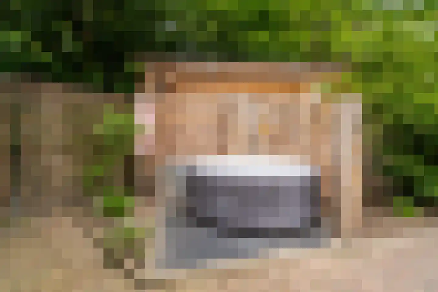Citroenvlinderhof 36 Oosterhout thumbnail 50