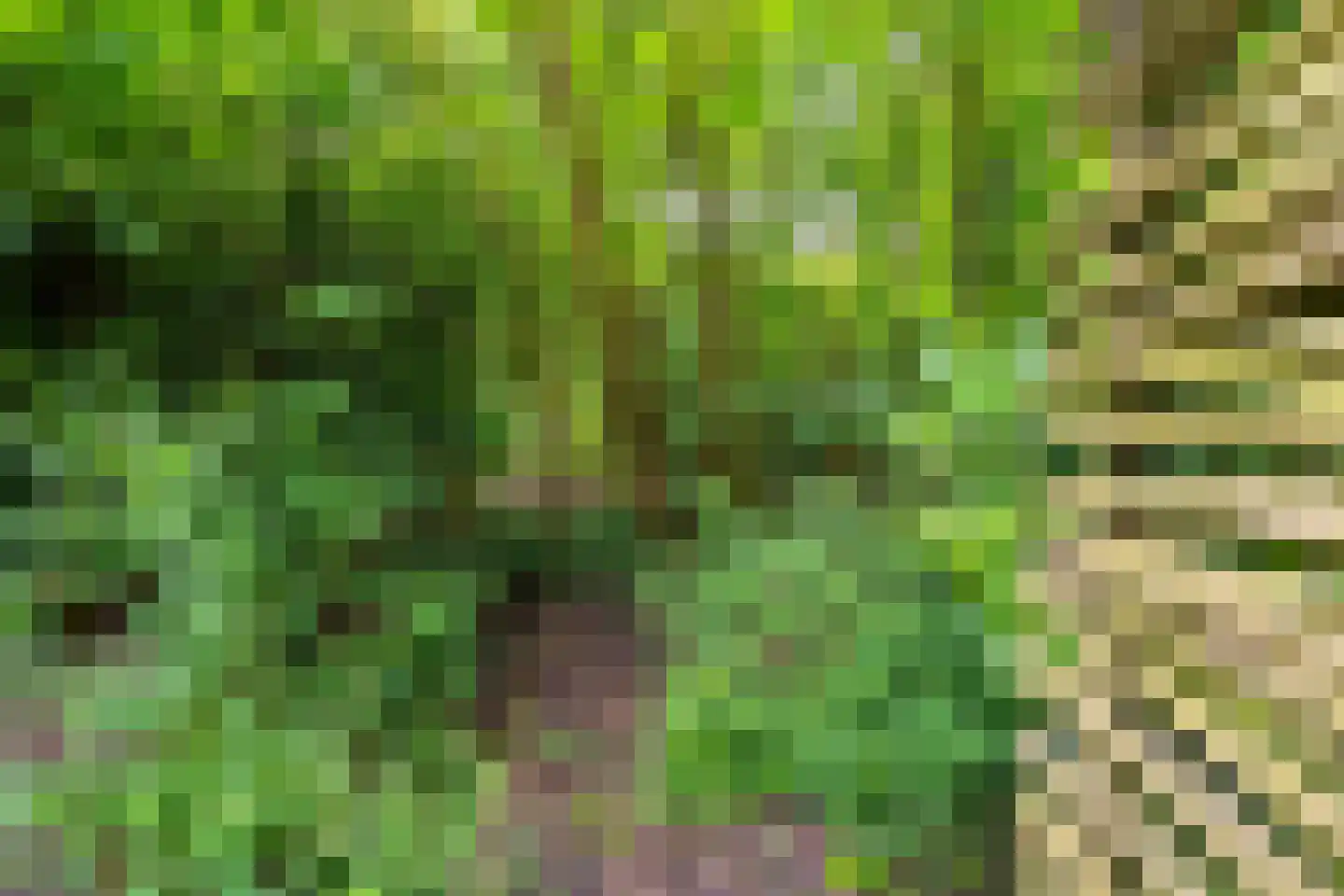 Citroenvlinderhof 36 Oosterhout thumbnail 51
