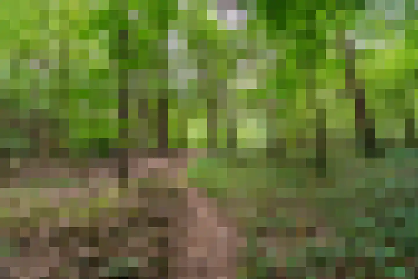Citroenvlinderhof 36 Oosterhout thumbnail 52