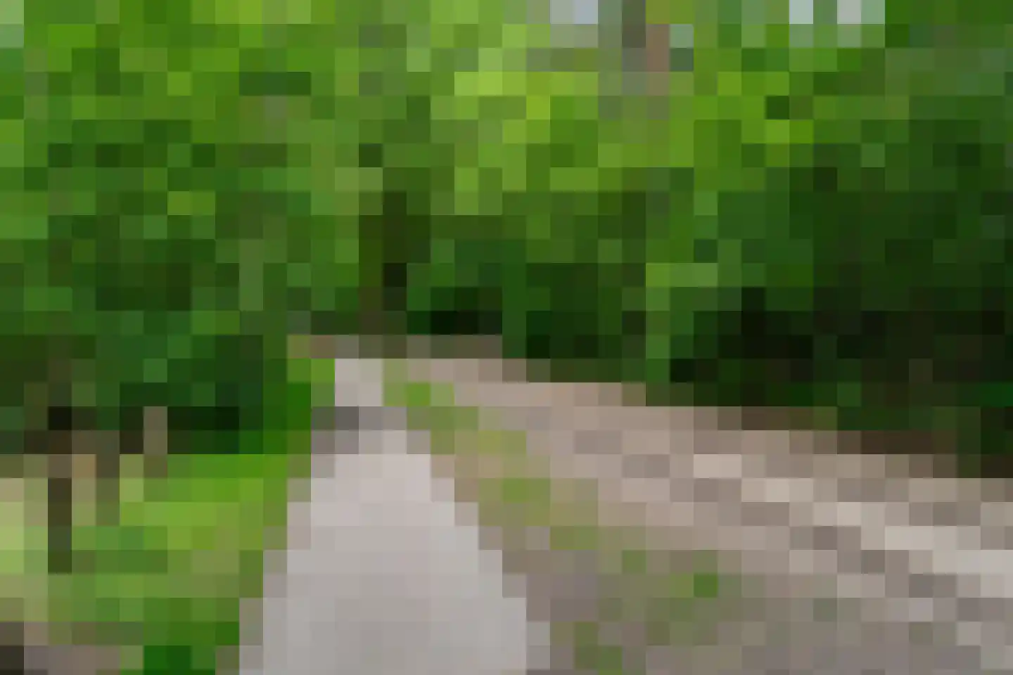 Citroenvlinderhof 36 Oosterhout thumbnail 53