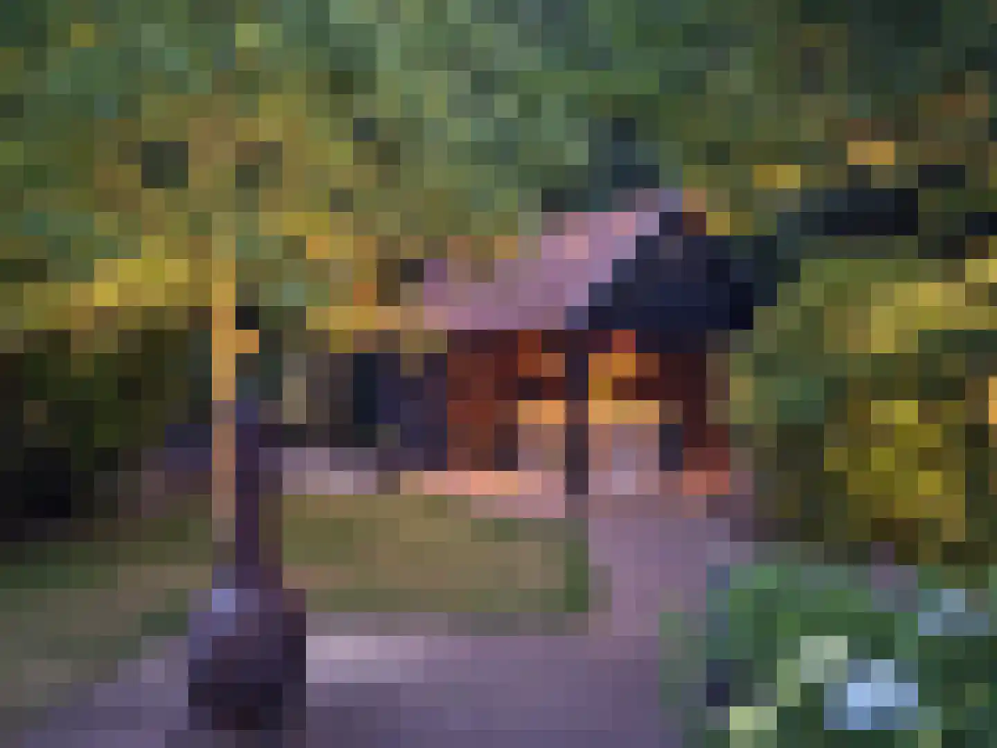 Citroenvlinderhof 36 Oosterhout thumbnail 57