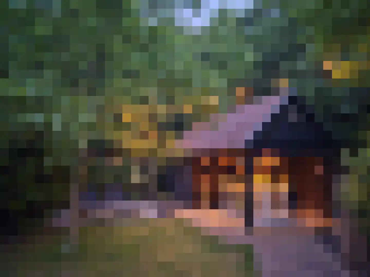 Citroenvlinderhof 36 Oosterhout thumbnail 59