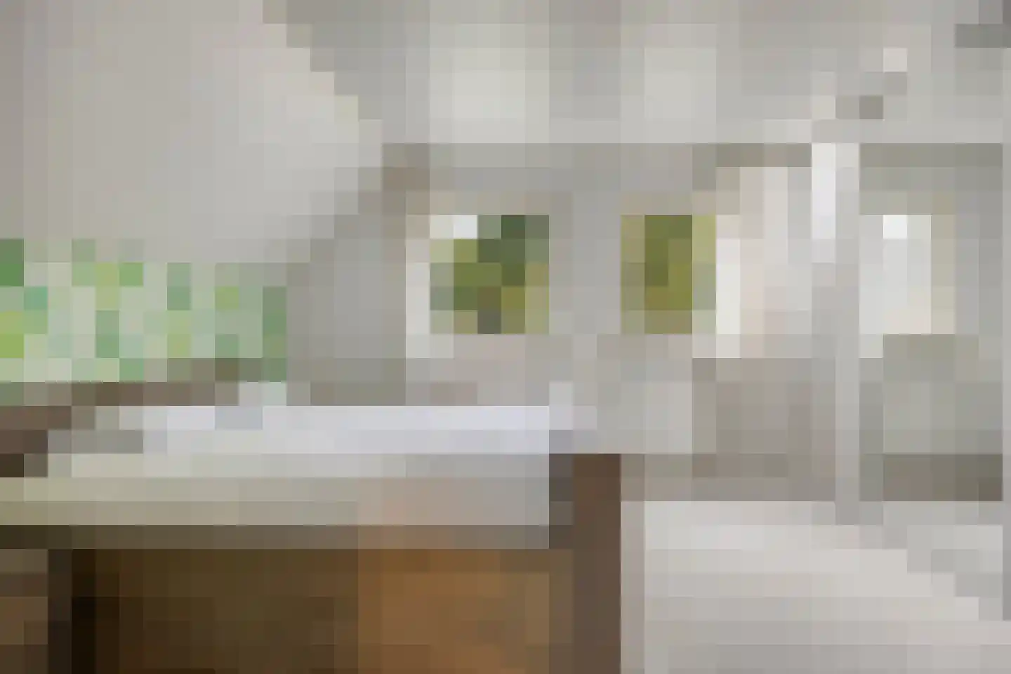 Citroenvlinderlaan 16 Eindhoven thumbnail 22