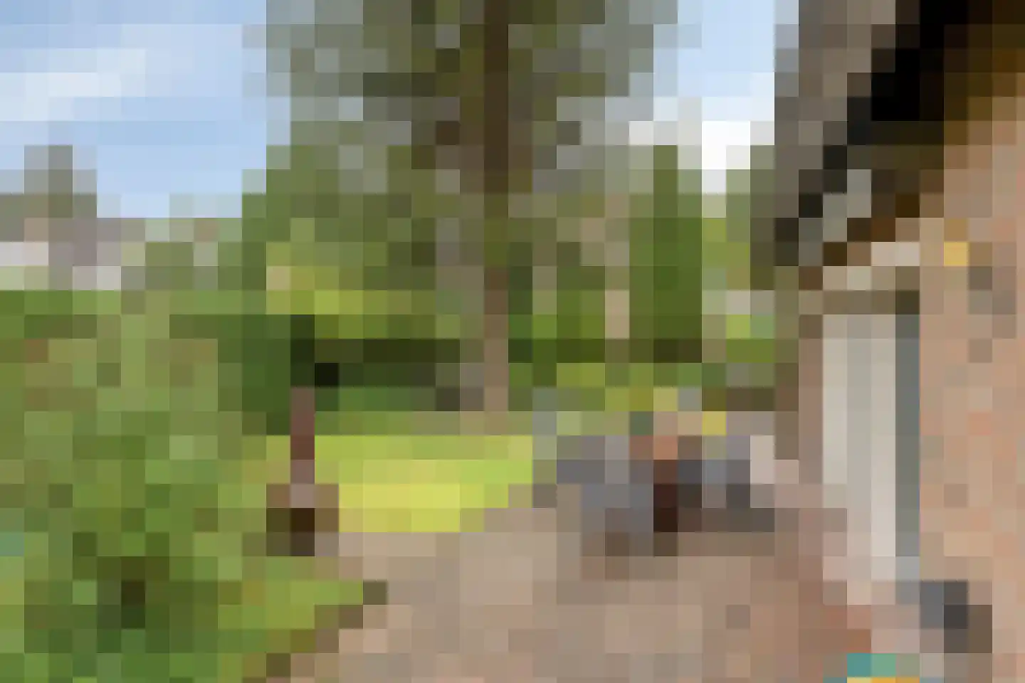 Citroenvlinderlaan 16 Eindhoven thumbnail 31