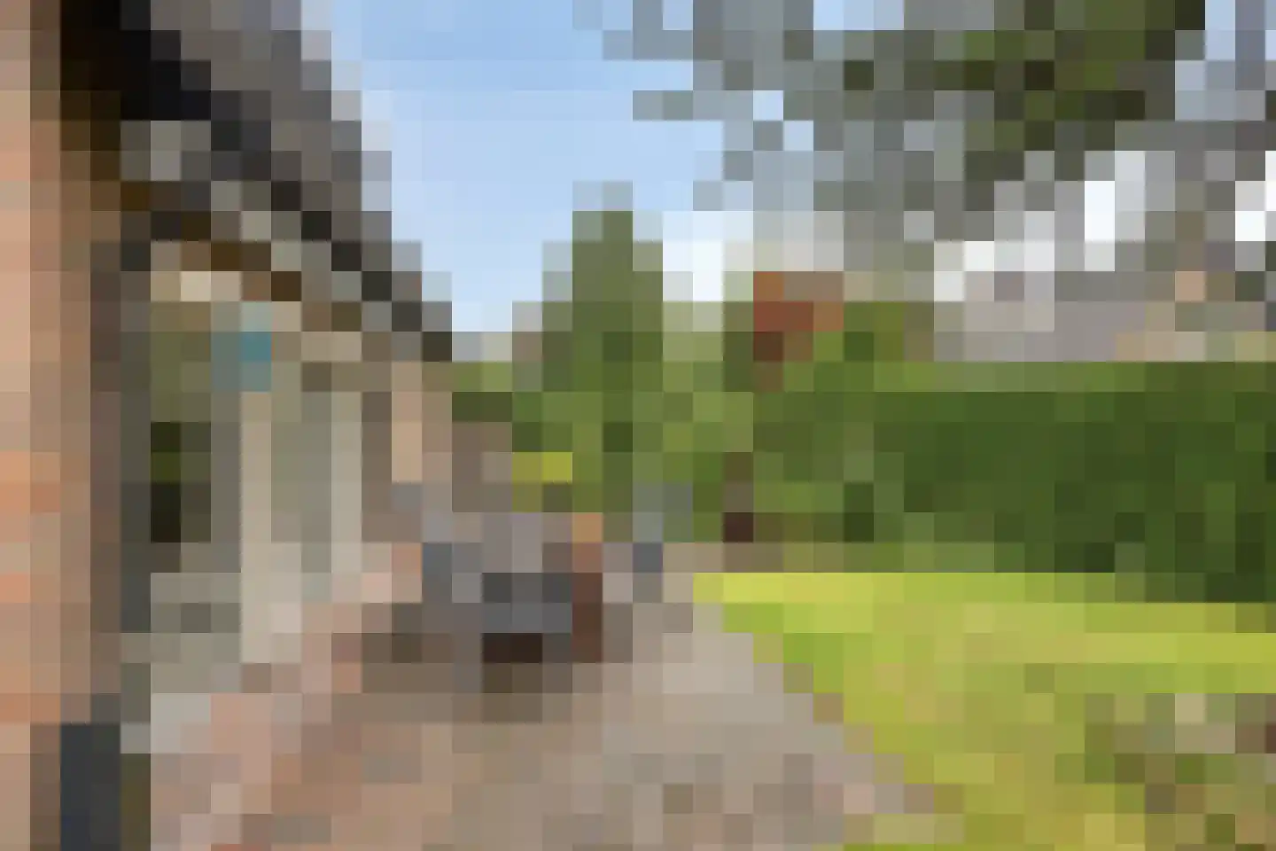 Citroenvlinderlaan 16 Eindhoven thumbnail 33