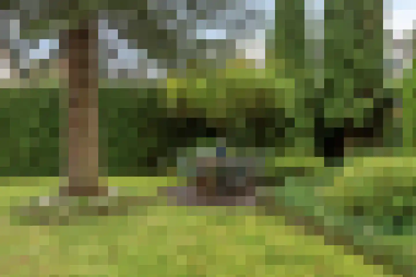 Citroenvlinderlaan 16 Eindhoven thumbnail 34
