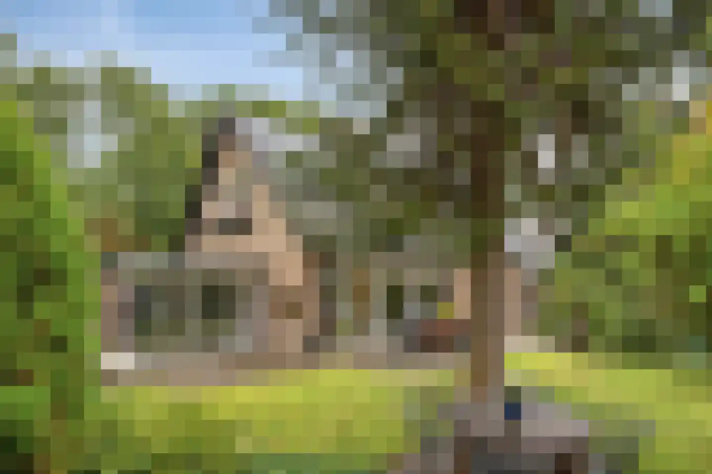 Citroenvlinderlaan 16 Eindhoven thumbnail 35