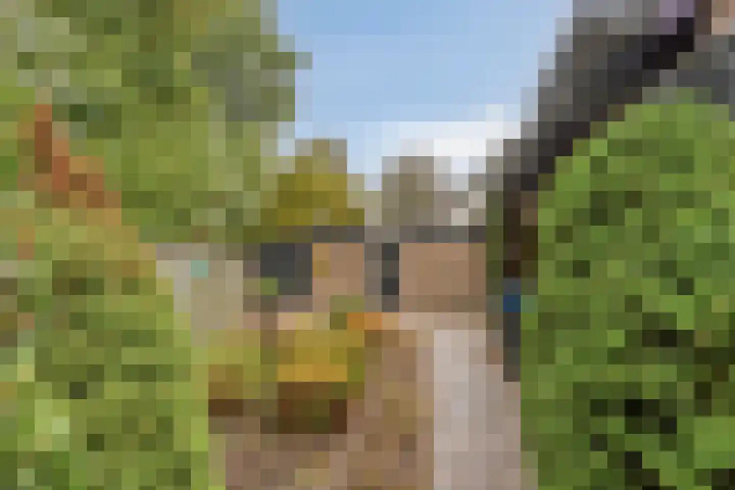 Citroenvlinderlaan 16 Eindhoven thumbnail 36