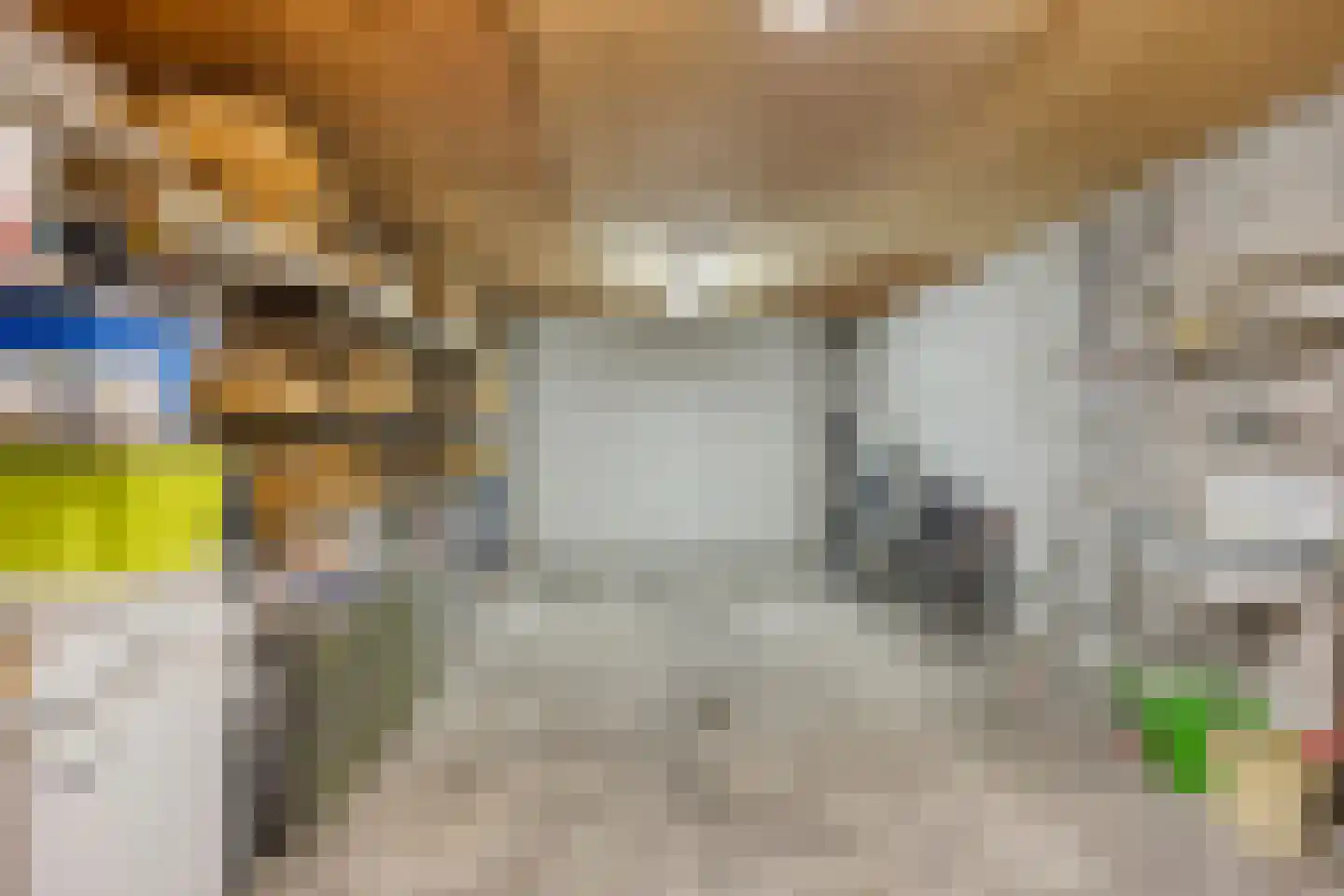 Citroenvlinderlaan 16 Eindhoven thumbnail 38
