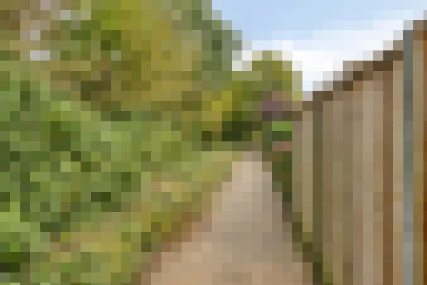 Citroenvlinderlaan 16 Eindhoven thumbnail 42