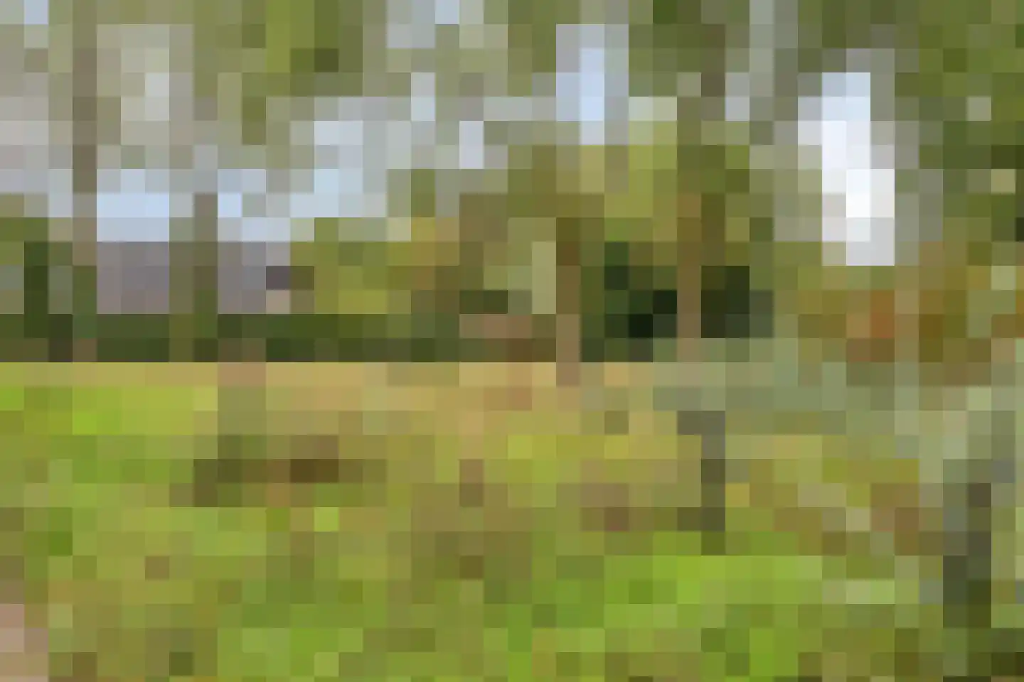 Citroenvlinderlaan 16 Eindhoven thumbnail 43