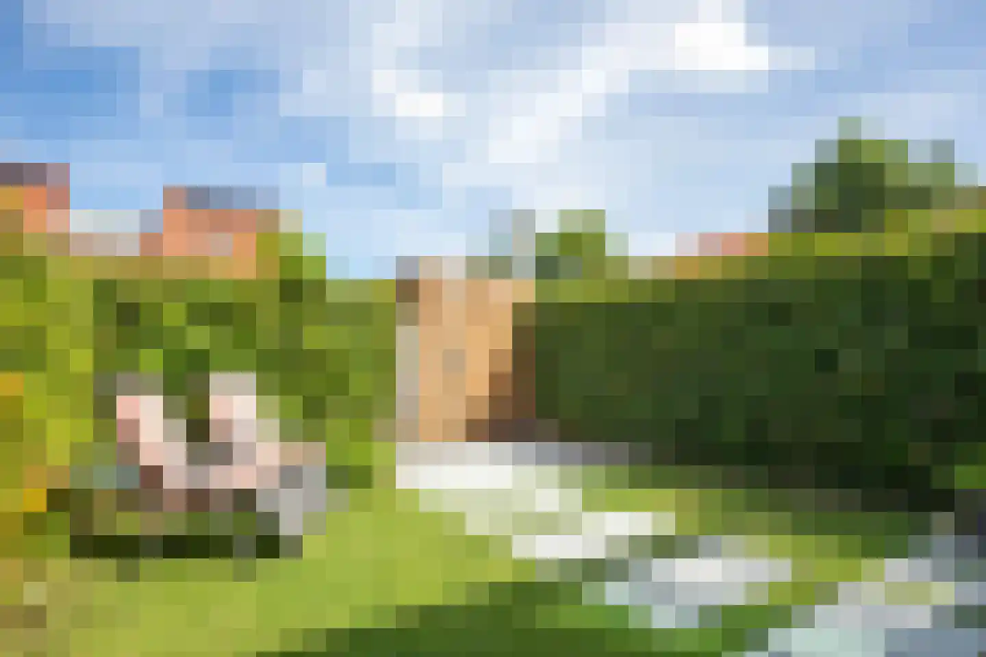 Citroenvlinderstraat 119 Aalsmeer thumbnail 33