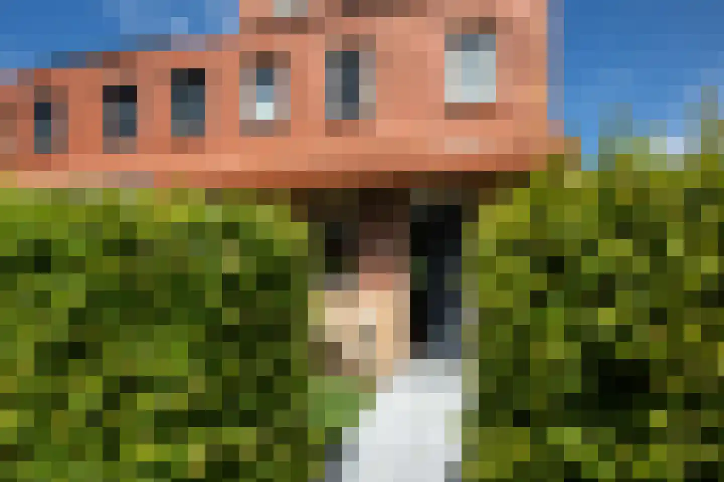 Citroenvlinderstraat 119 Aalsmeer thumbnail 5