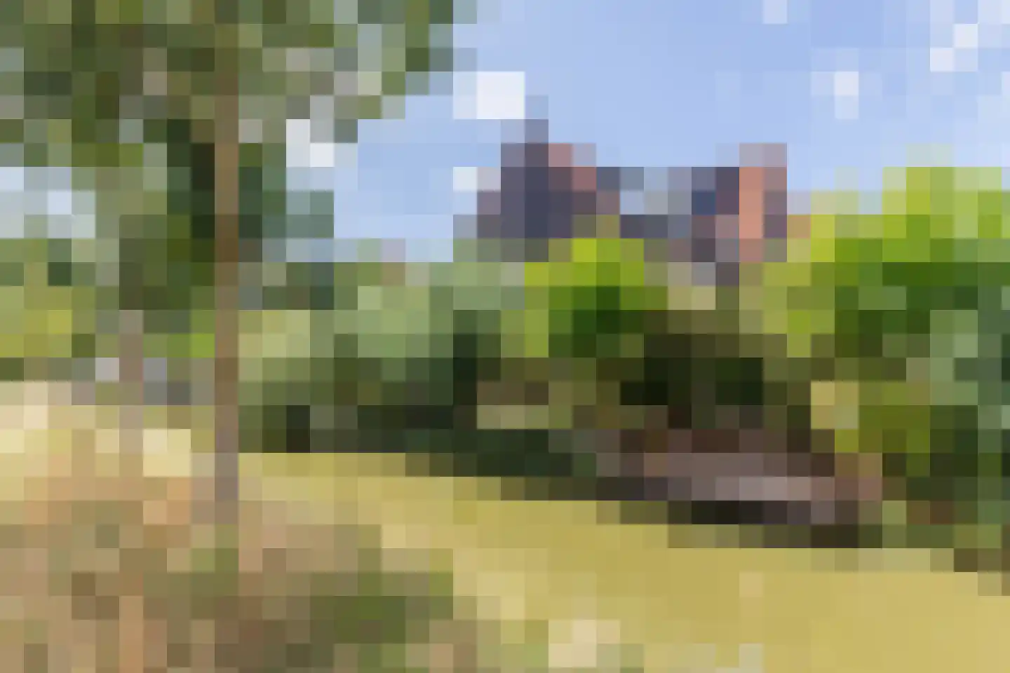 Citroenvlinderstraat 145 Aalsmeer thumbnail 28