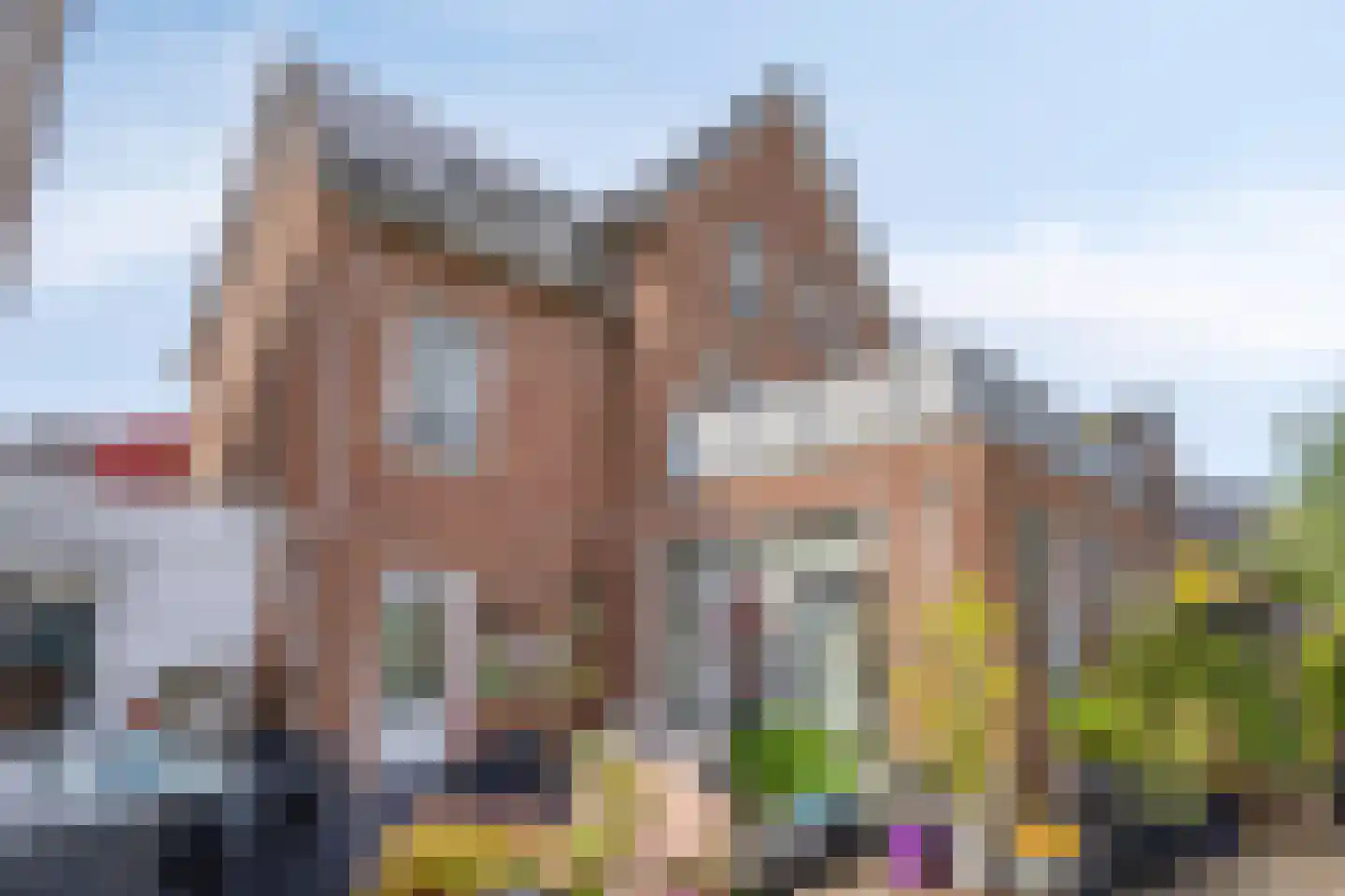 Citroenvlinderstraat 16 Gouda thumbnail 15
