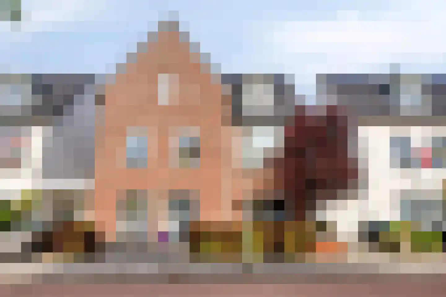 Citroenvlinderstraat 16 Gouda thumbnail 5