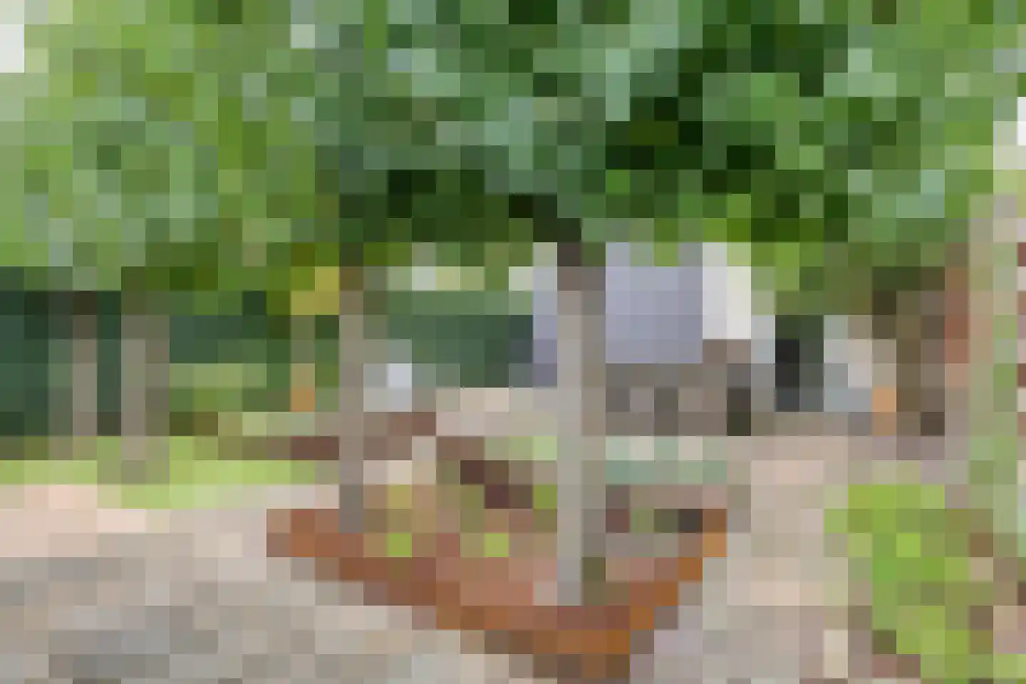 Citroenvlinderstraat 18 Veenendaal thumbnail 26