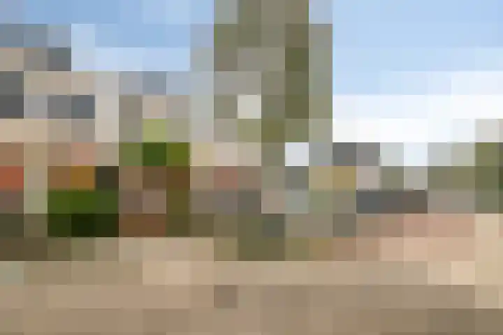 Citroenvlinderstraat 22 Veenendaal thumbnail 5