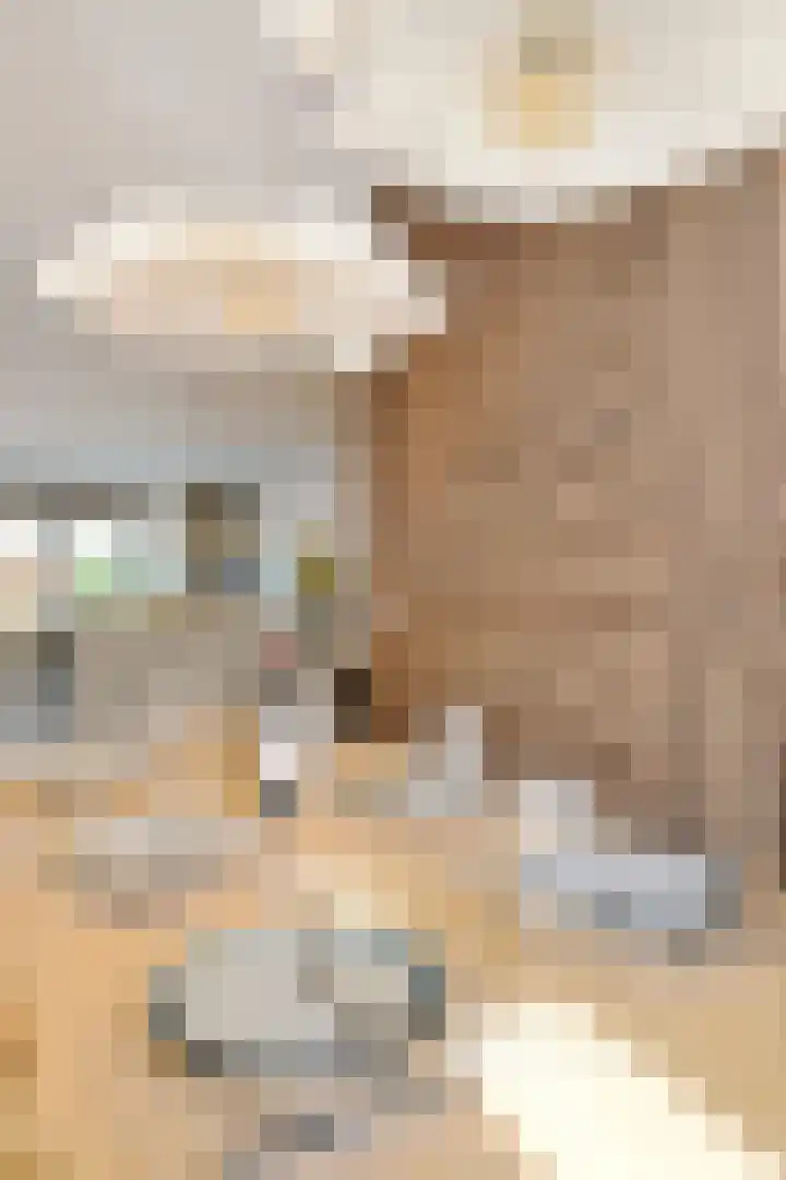 Citroenvlinderstraat 6 Rijswijk thumbnail 21