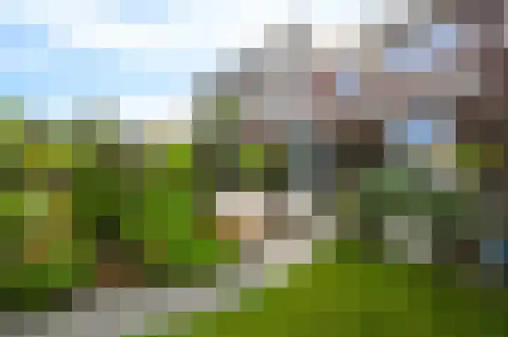 Citroenvlinderstraat 6 Rijswijk thumbnail 4