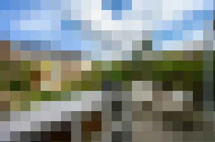 Citroenvlinderstraat 6 Rijswijk thumbnail 63