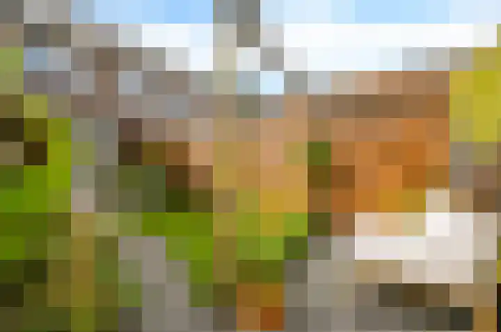 Citroenvlinderstraat 6 Rijswijk thumbnail 67