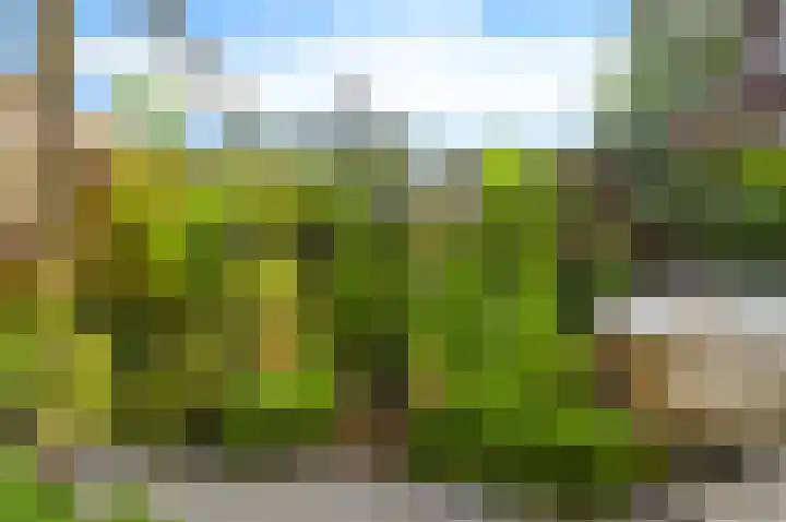 Citroenvlinderstraat 6 Rijswijk thumbnail 69