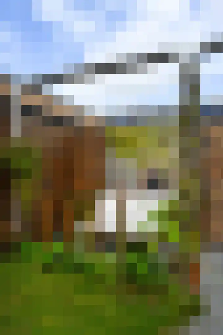 Citroenvlinderstraat 6 Rijswijk thumbnail 71