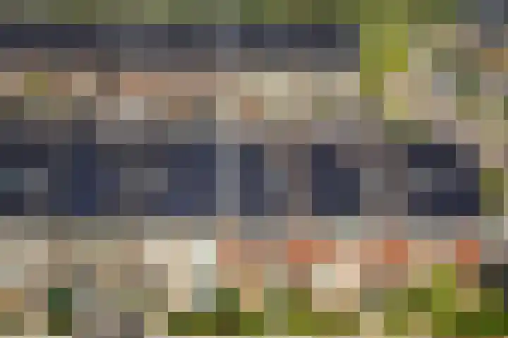 Citroenvlinderstraat 6 Rijswijk thumbnail 75