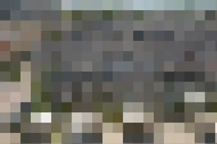 Citroenvlinderstraat 6 Rijswijk thumbnail 76