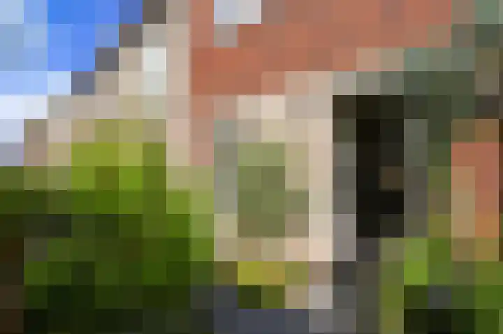 Citroenvlinderstraat 6 Rijswijk thumbnail 8