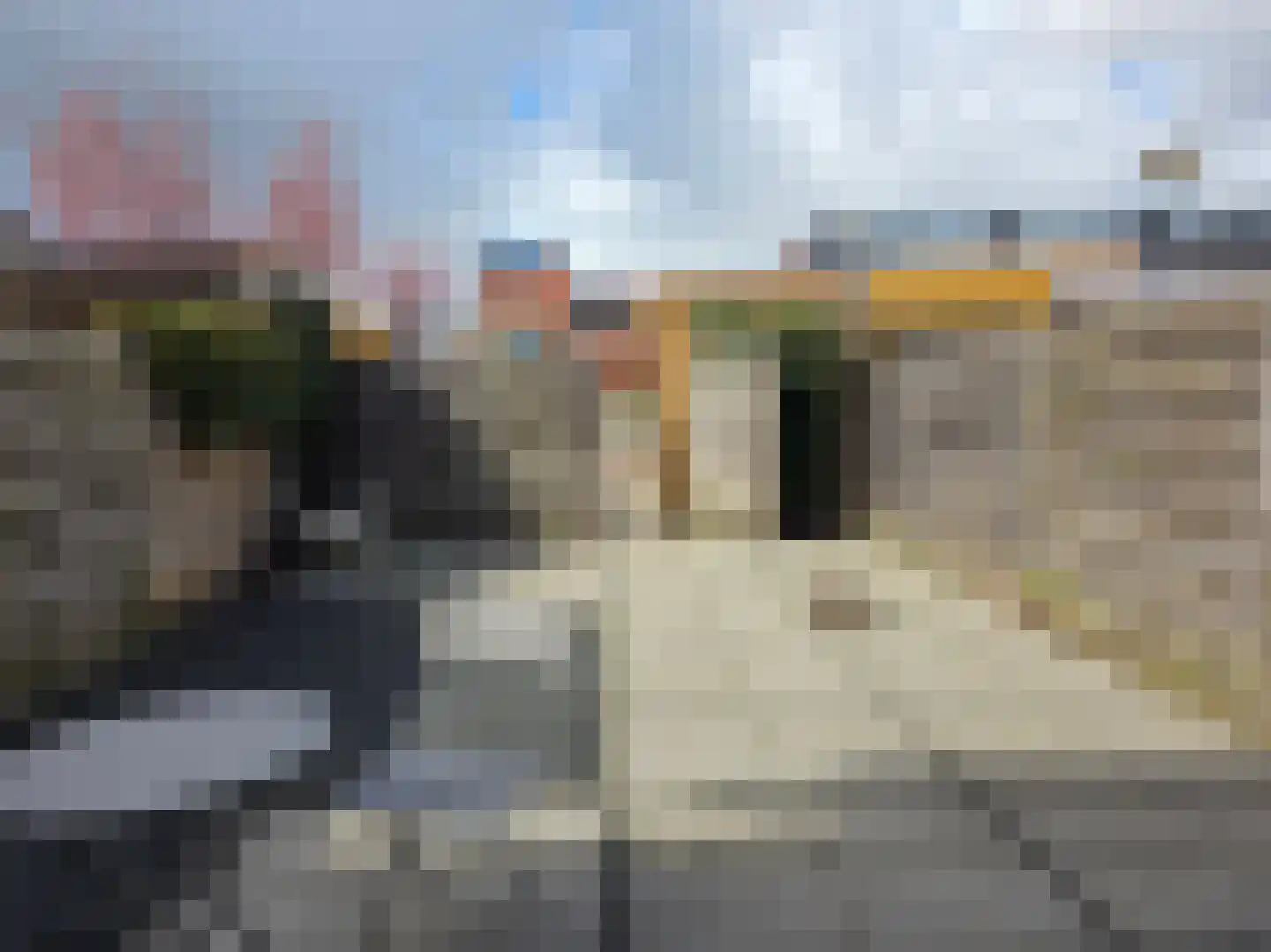 Citroenvlinderstraat 63 Aalsmeer thumbnail 12