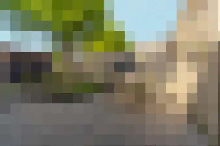 Citroenvlinderstraat 76 Nijmegen thumbnail 48