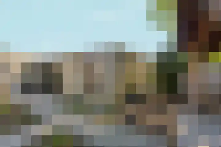 Citroenvlinderstraat 76 Nijmegen thumbnail 58