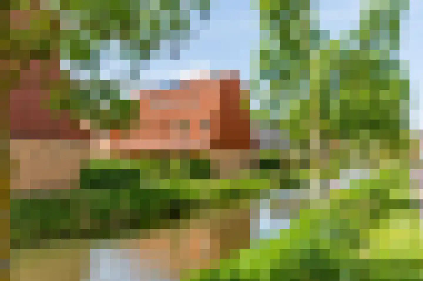 Citroenvlinderstraat 77 Aalsmeer thumbnail 34